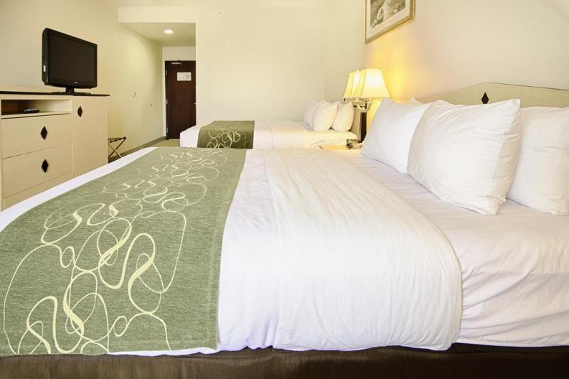 Comfort Inn & Suites Airport Convention Center Reno Exteriér fotografie